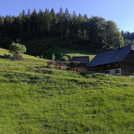 Ferienwohnung Glashütte Sankt Märgen Exterior foto